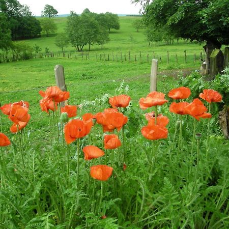 La Source D'Argammet Bed & Breakfast La Ferte Bagian luar foto